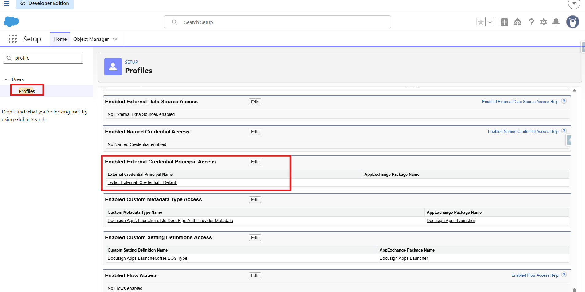 Permission Set showing External Credential Principal Access setting
