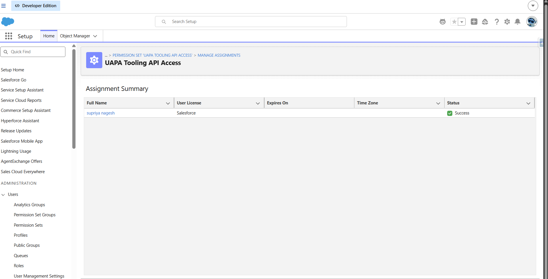 Create a Permission Set to use the Named Credential